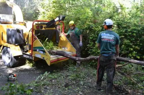 tree services Preston Heights